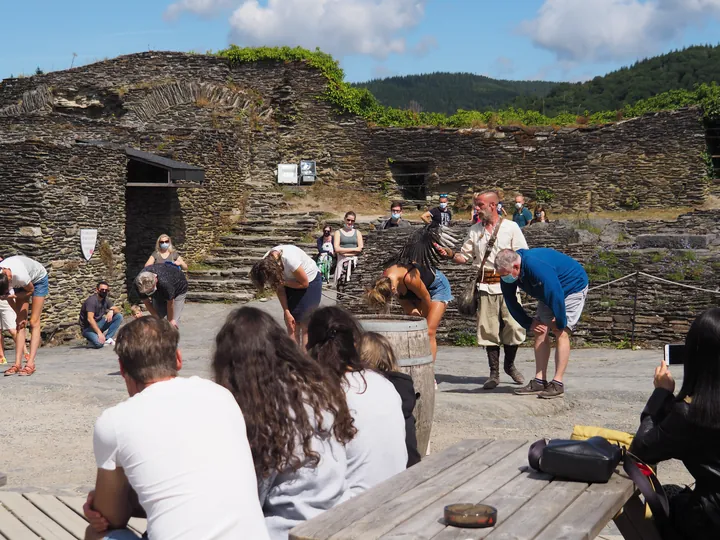 Roofvogelshow in Château de La Roche-en-Ardenne (België)